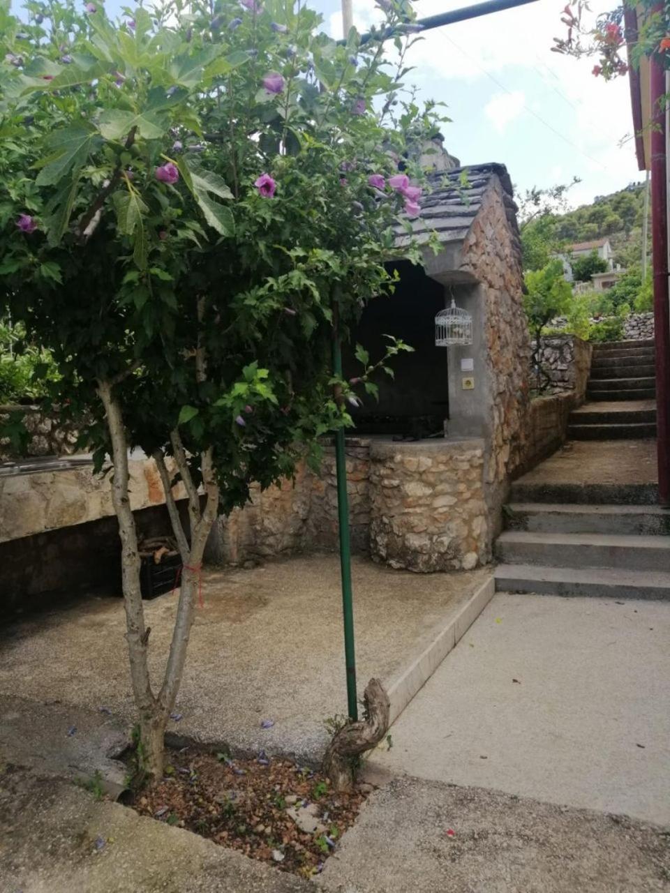 Apartment Anka مارينا المظهر الخارجي الصورة