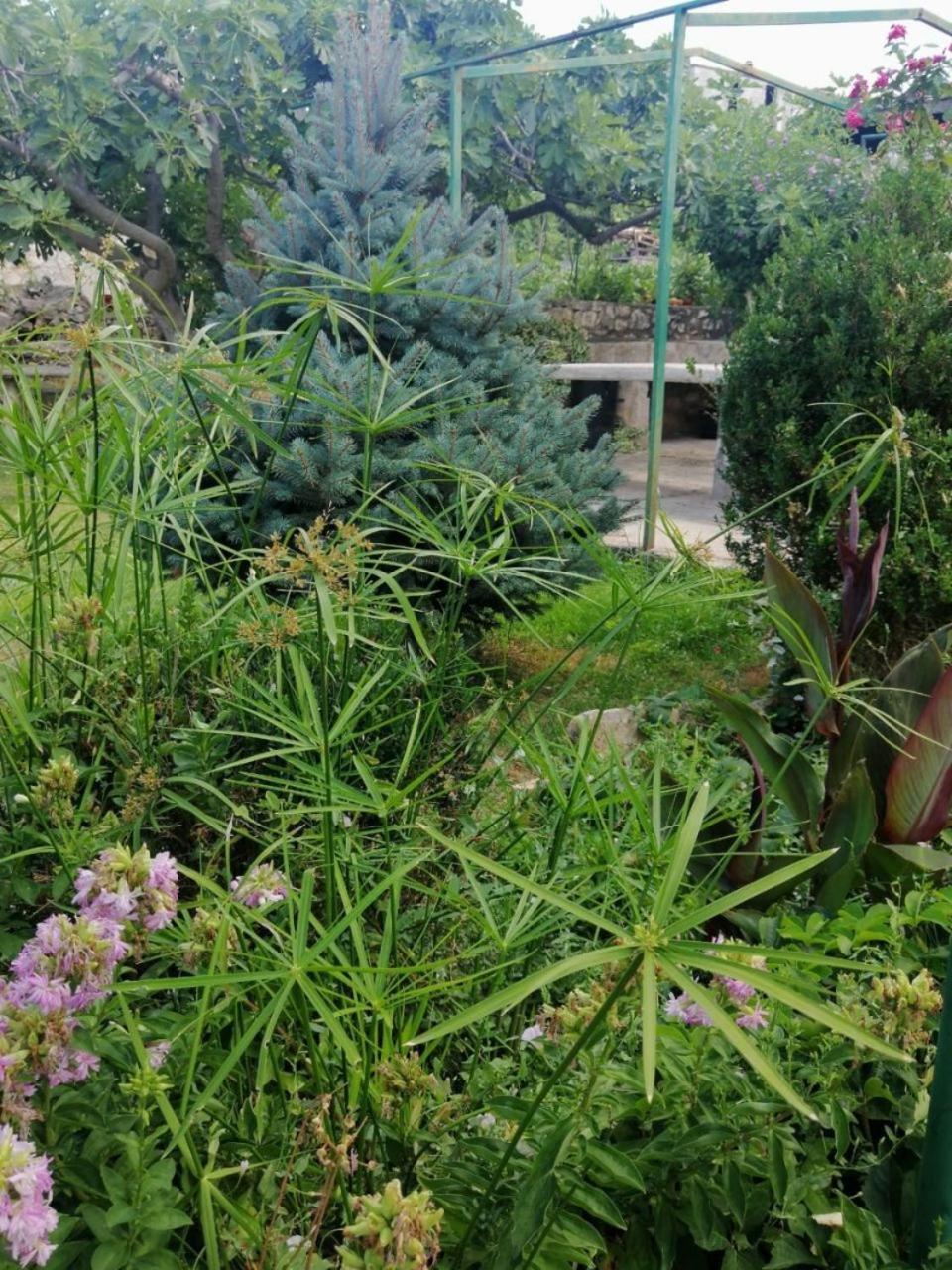 Apartment Anka مارينا المظهر الخارجي الصورة